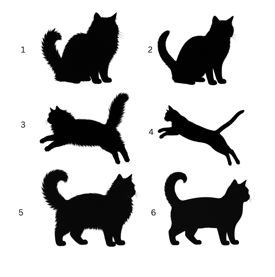 Kattjulgranskula | Eget namn och silhuett